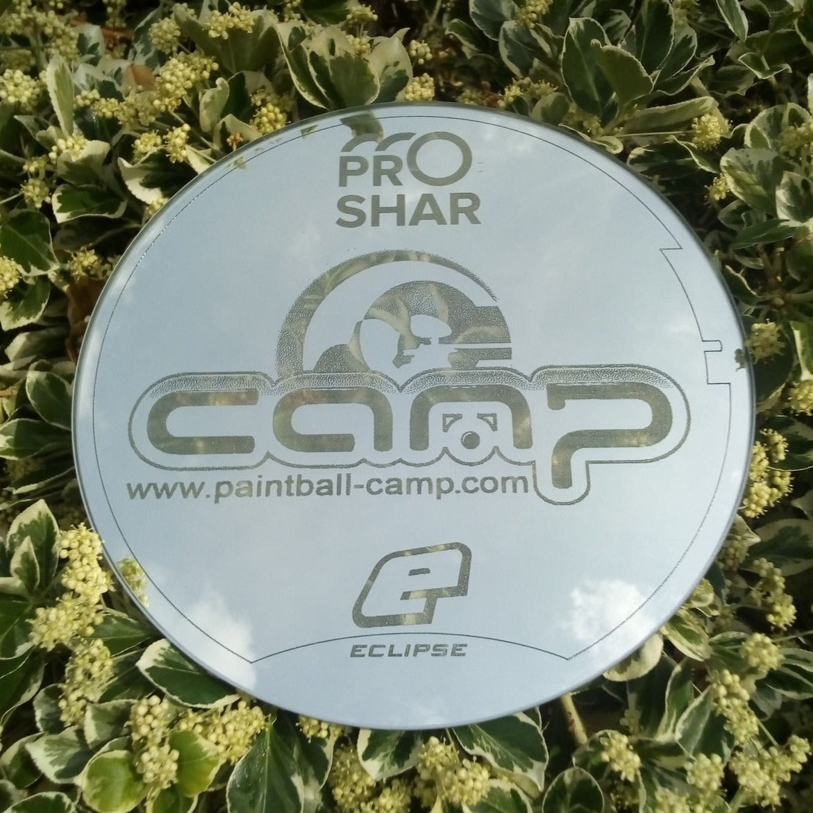 "Miroir paintball"