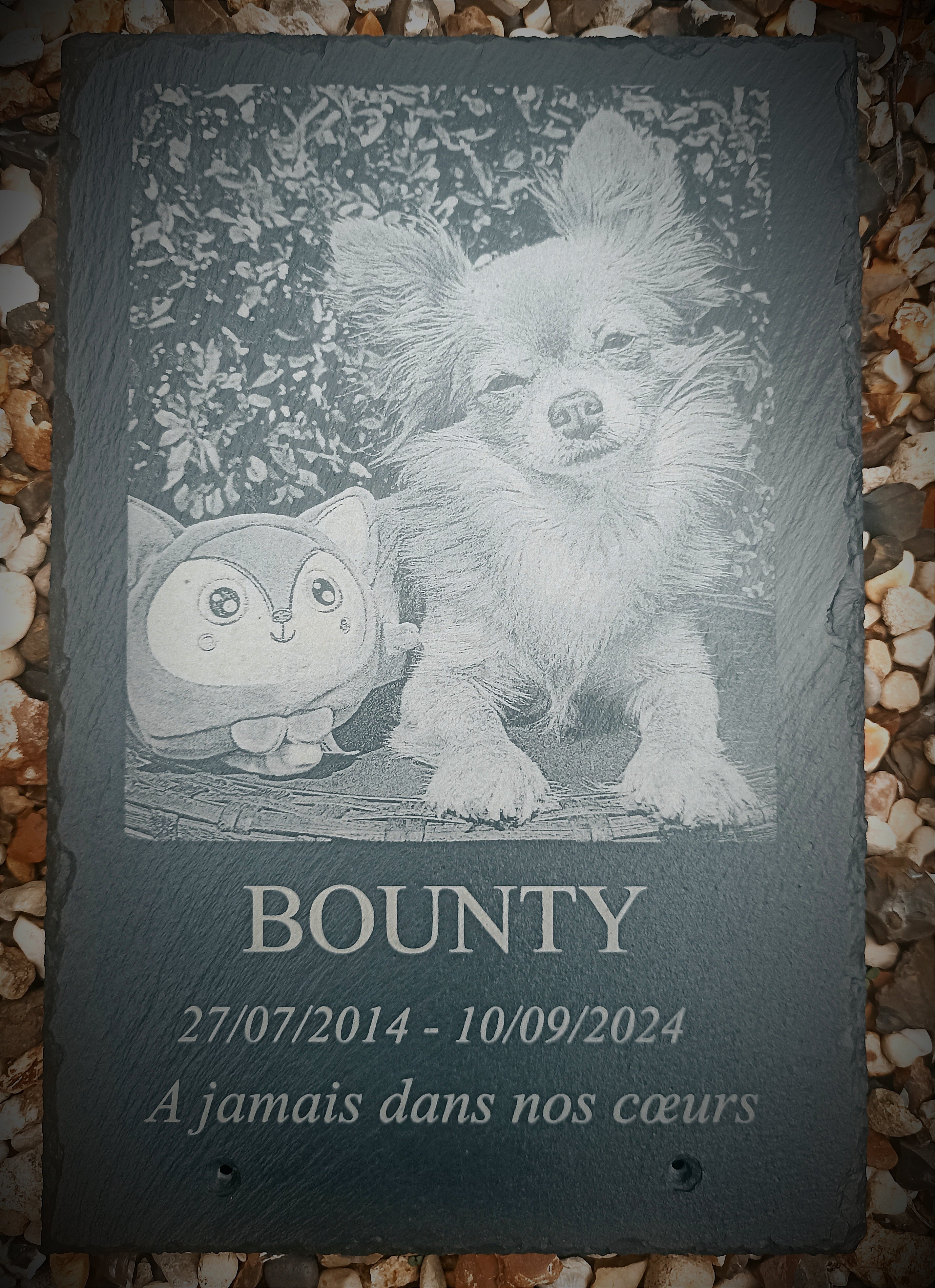 Plaque commemorative pour animaux  en ardoise